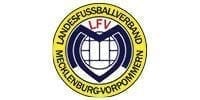 lfvmv_web