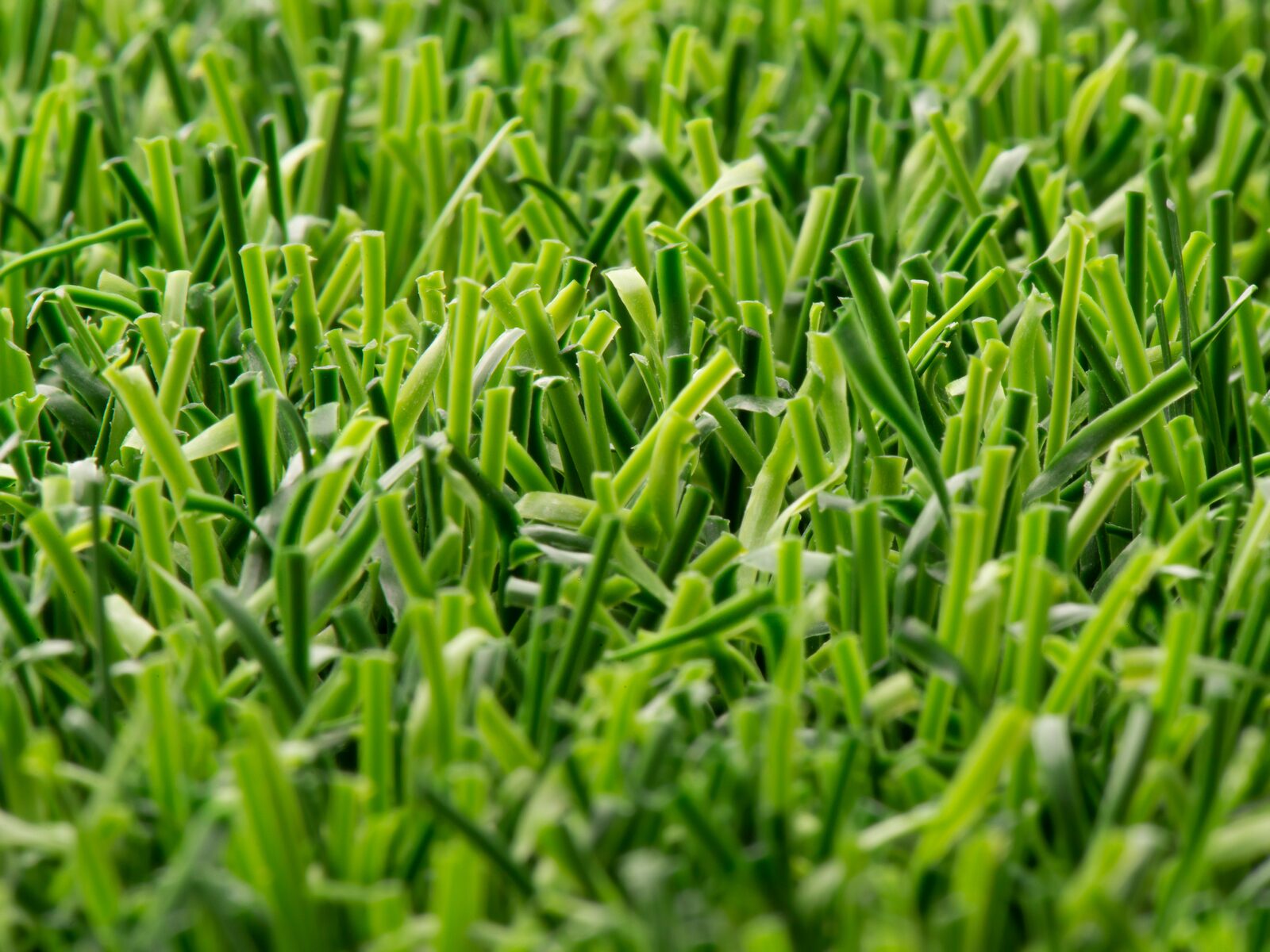 LigaTurf Cross R Makro