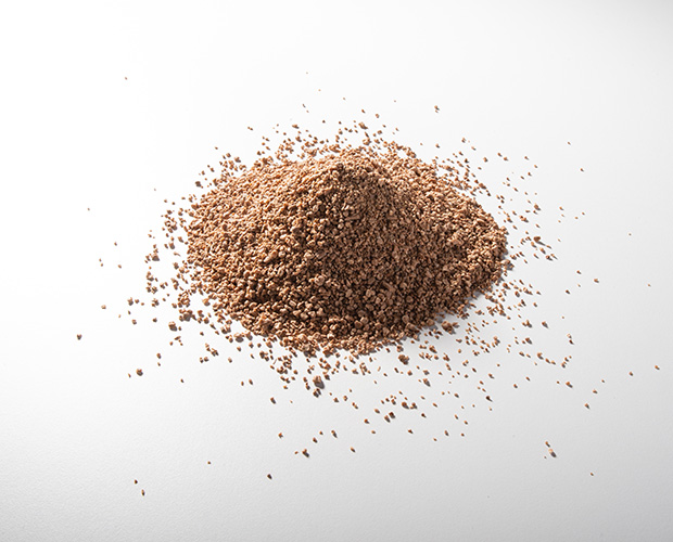BioFusion